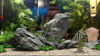 3d Rock Aquarium Background4