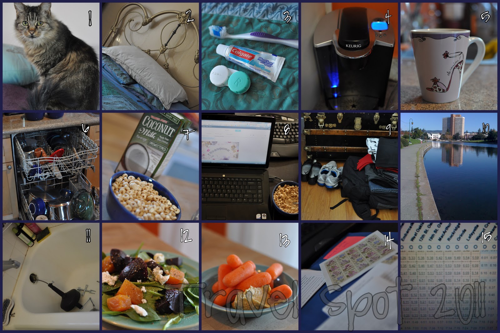 The Many Thoughts Of A Reader 2011