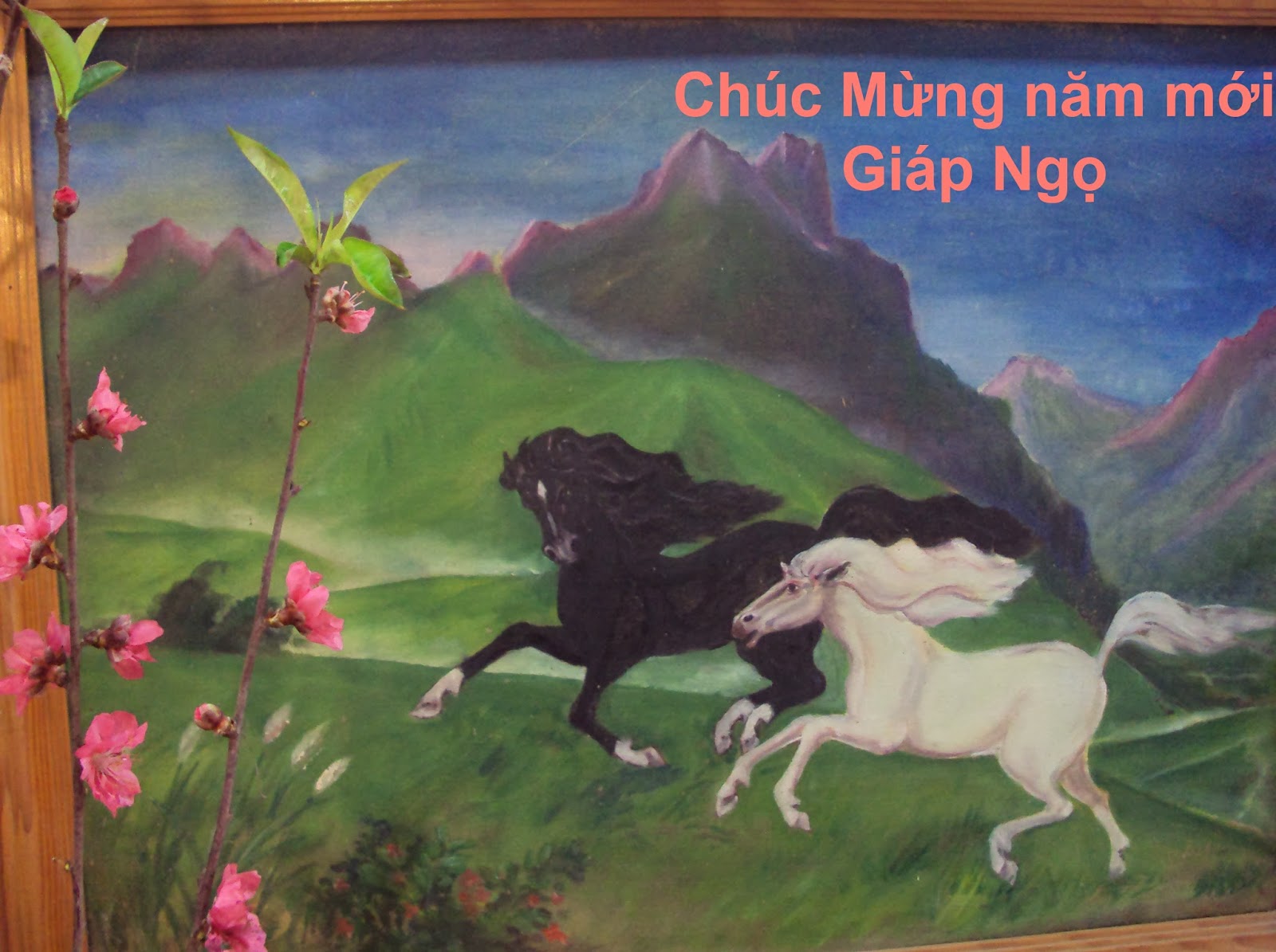 Chúc mừng năm mời Giáp Ngọ Chuc+mung+nam+moi