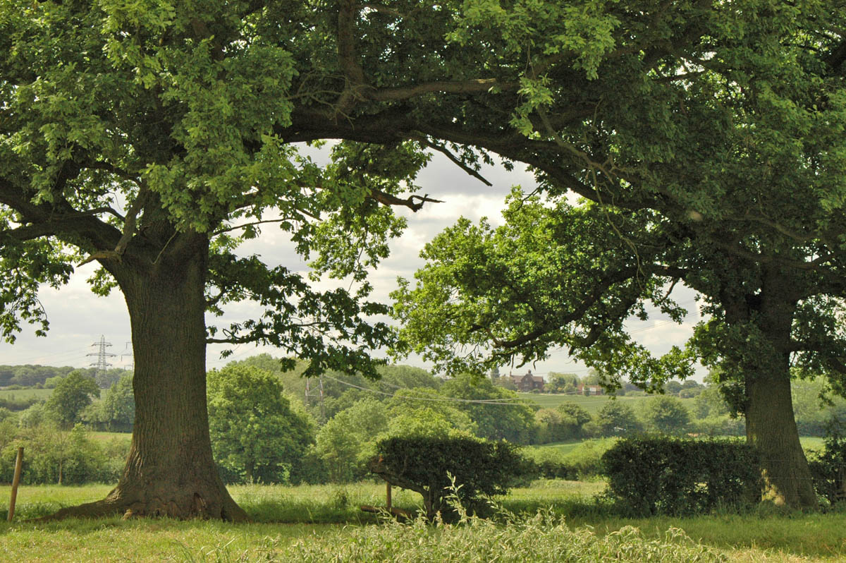 Burton Green Burton Green Photographs