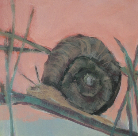 Apple Snail Everglades