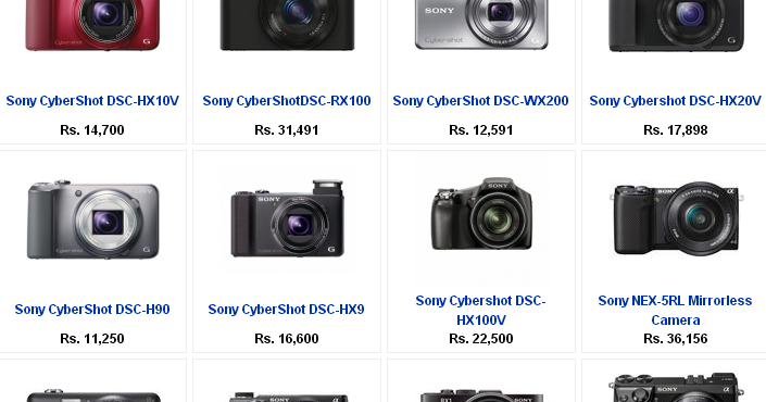 GENIUS DIGITAL CAMERA genius digital camera: