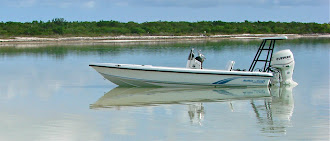 The Boat: 16ft Action Craft