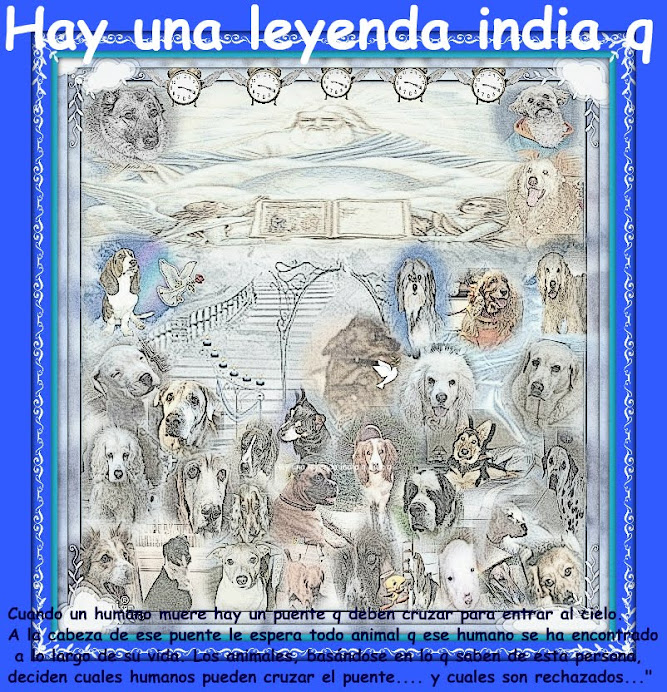 LEYENDA INDIA