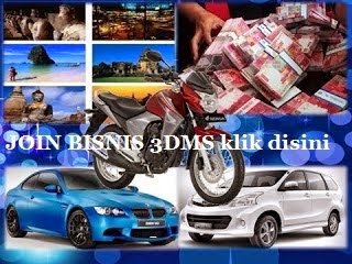 JOIN BISNIS 3DMS