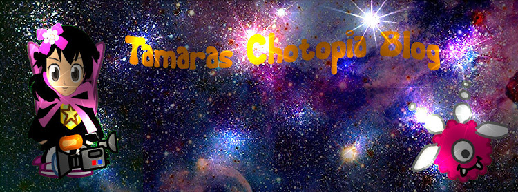 Tamaras Chotopia Blog