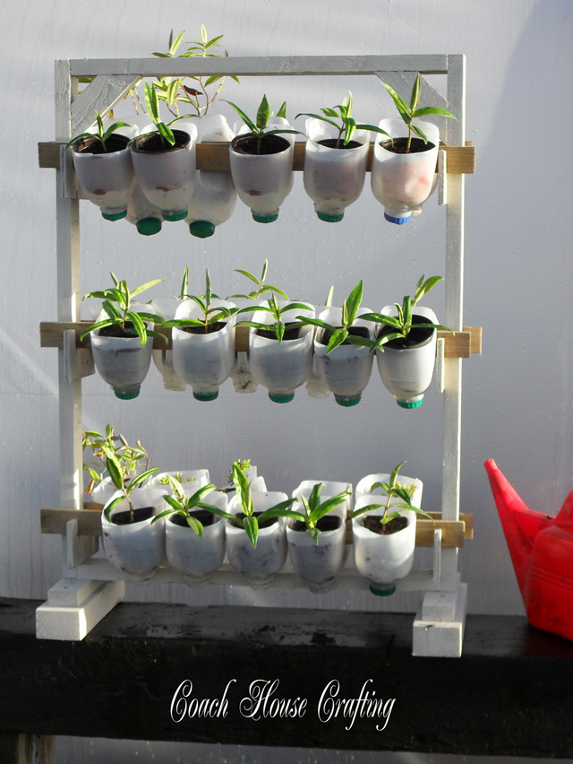 Plantando em pequenos espaços