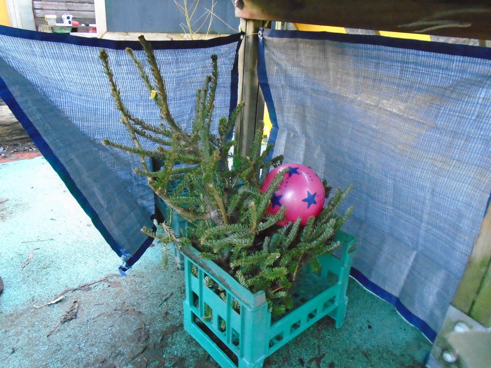 Learning for Life Recycling Christmas Trees!