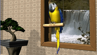 talking parrot software for pc talking parrot software for pc