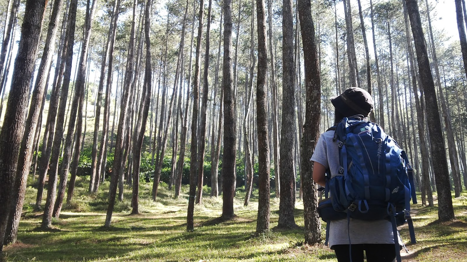 Welcome To Indriani Blog Camping Ceria Di Kaki Gunung Manglayang Via Batu Kuda