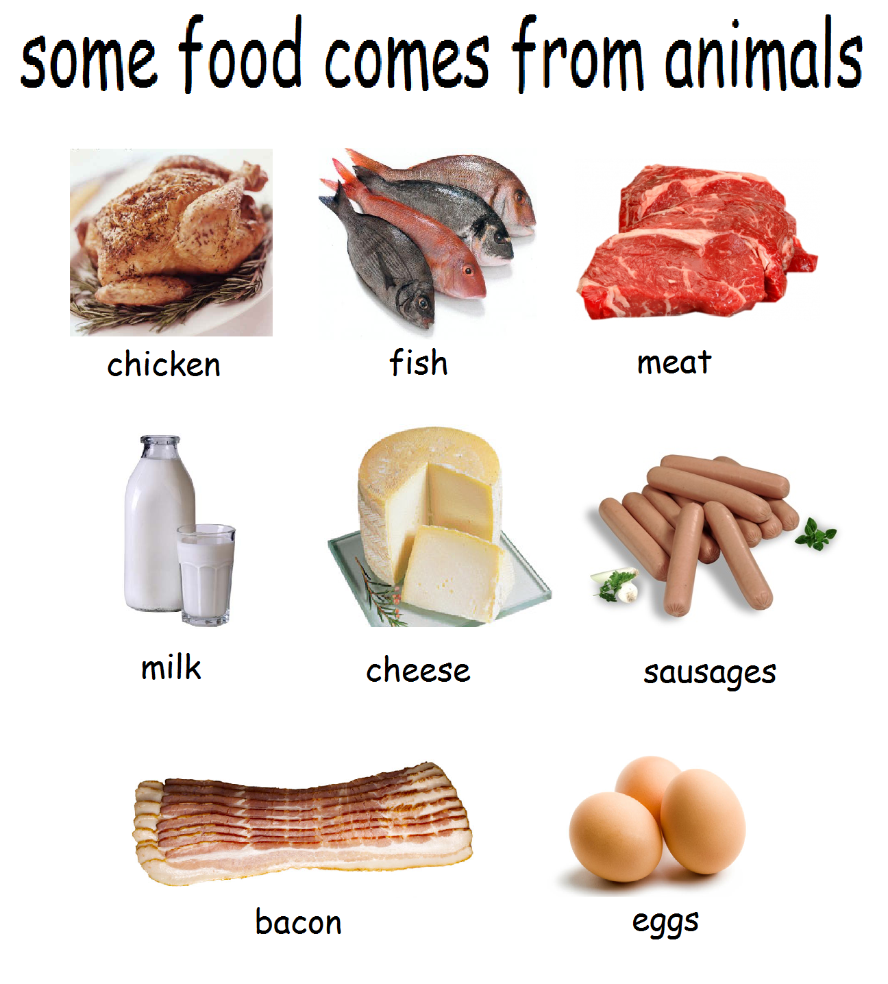 Food+We+Get+From+Animals ... foods into either from 'plants' or 'animals'. How many can you get