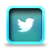 twittericon