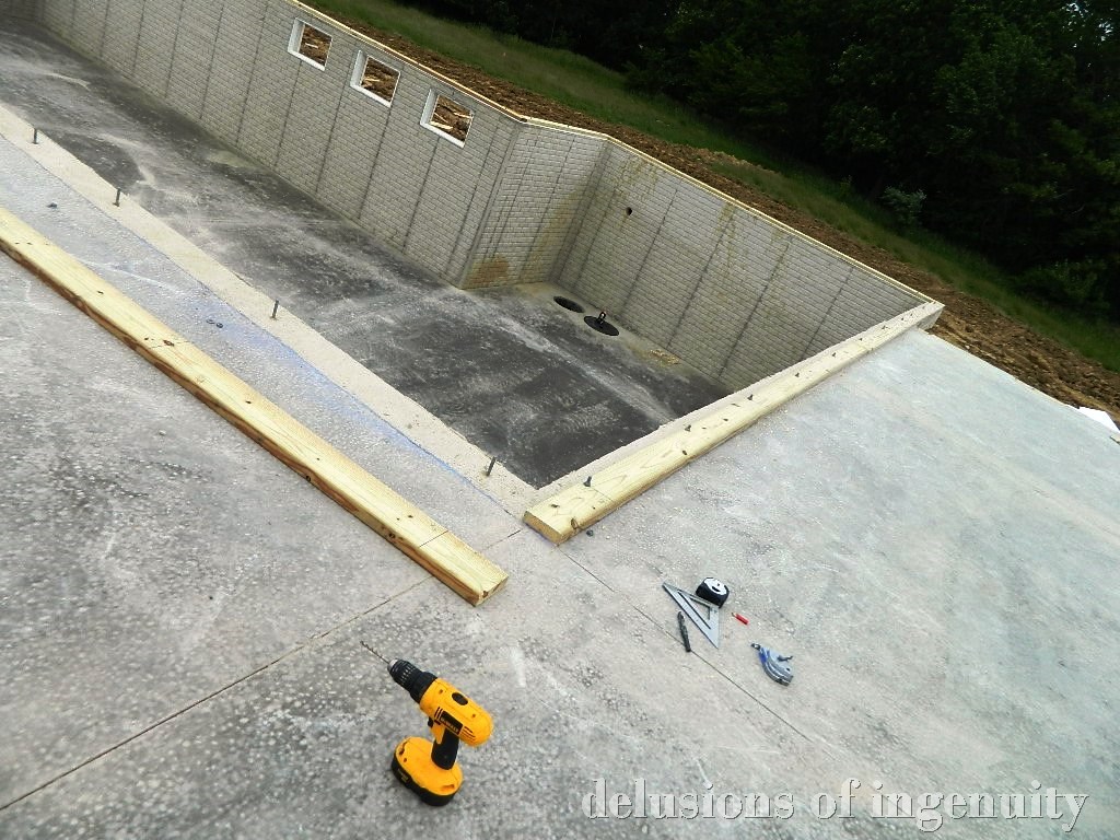 delusions of ingenuity sill plate, loadbearing walls, and puppy feet