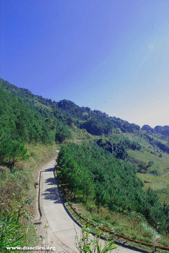 Mẫu Sơn Mẫu Sơn