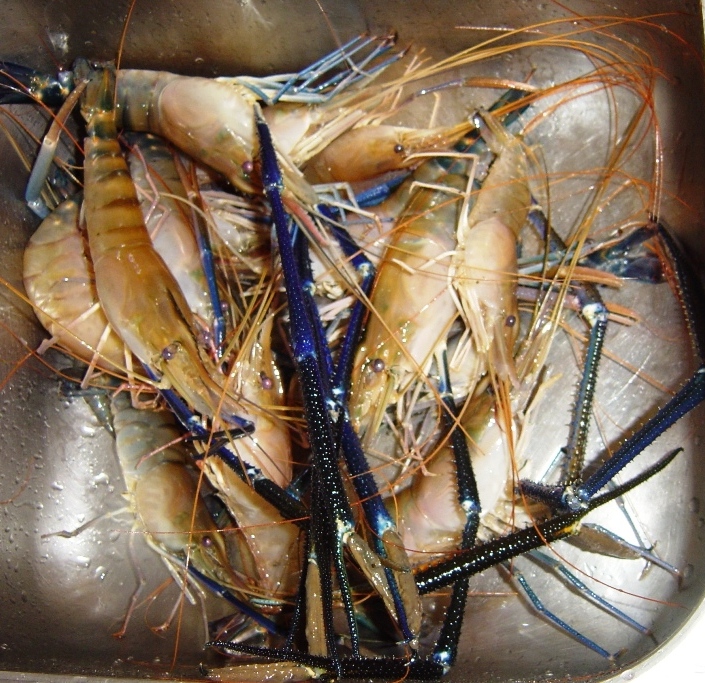 Chinese New Year Recipes - Different ways of cooking Prawns - The Food