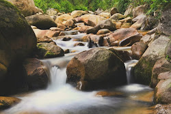 Caminho das Pedras...