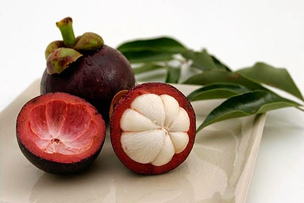 Cara Memperbesar Payudara dengan Buah Manggis Cara Memperbesar Payudara dengan Buah Manggis
