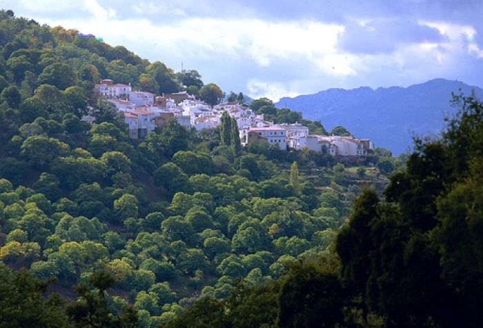 Pujerra, (Málaga)