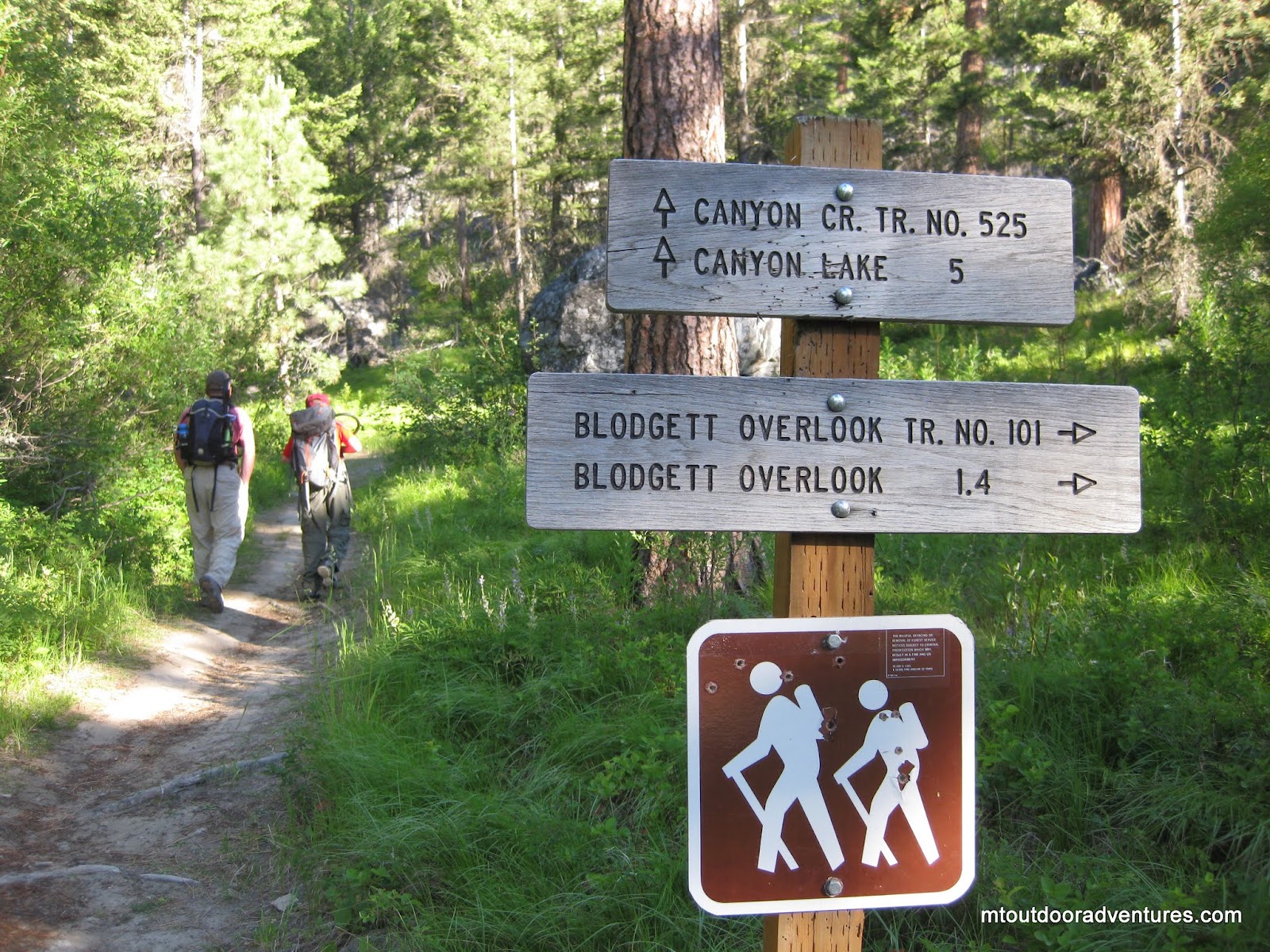 Canyon Creek, Montana Trail No. 525 Trip Reports SummitPost