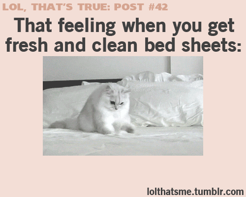 dreamy beddings i just got a new sheet kinda feeling new sheets