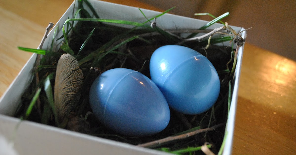 The Iowa Farmer's Wife: Build-Your-Own Nest Activity