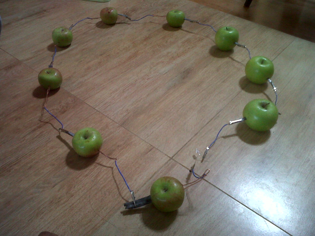 Lulu Berty Praktikum Listrik dari Buah Apel