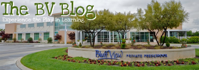 Bluff View Blog