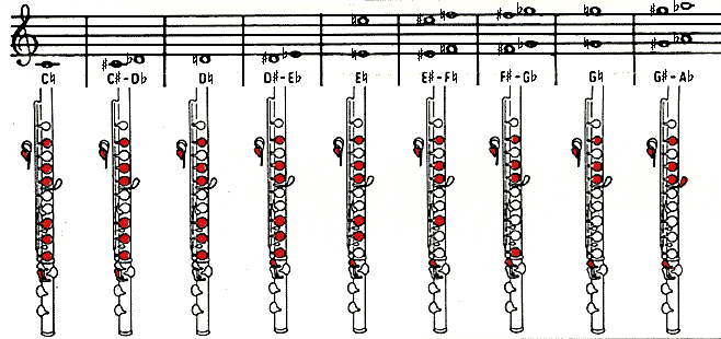 Learn To Play Flute Finger Chart