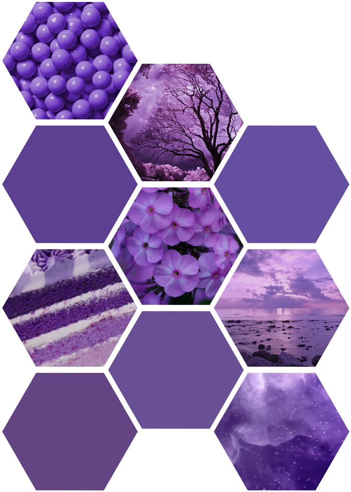 Aesthetic: violet - LA