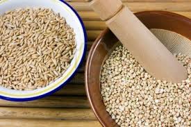 CIENCIA DE LOS ALIMENTOS