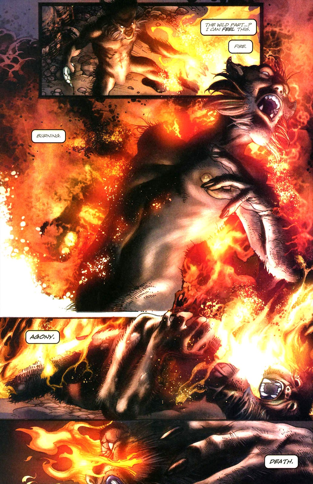 Read online Wolverine (2003) comic - Issue #51 - 4