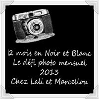 12 mois en Noir et Blanc