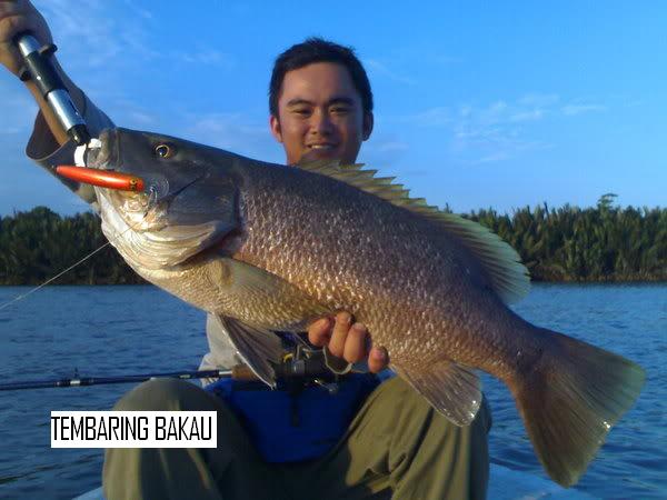 Ikan Tembaring