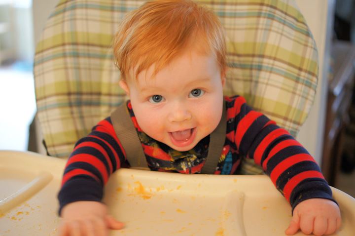 Small Face Ginger