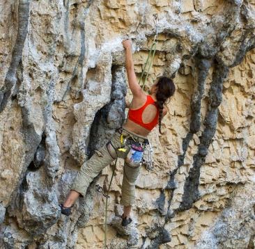 climbing sports bra