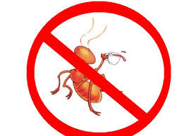 How To Understand And Kill Ants The Smart Way Killing Garden