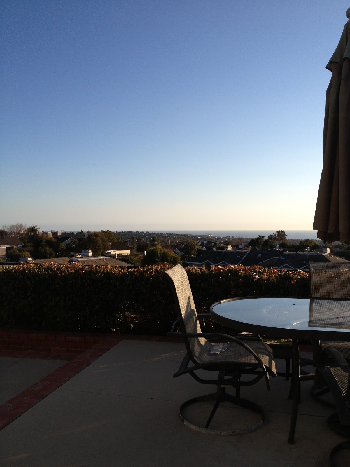 Darlene Kelly O C Real Estate