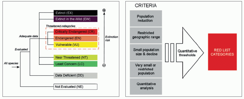 iucn red list wikipedia name