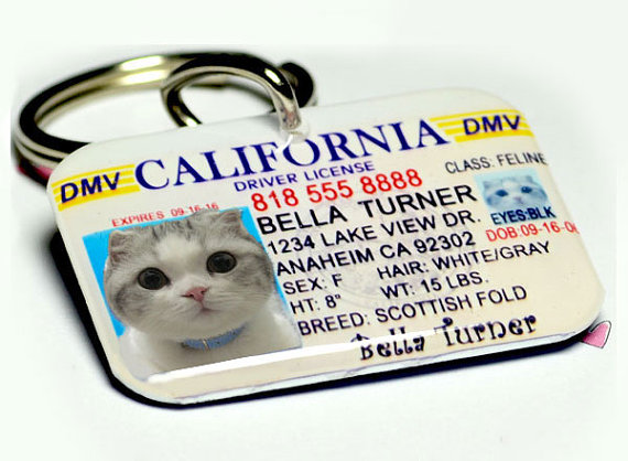 same day dog id tags same day dog id tags