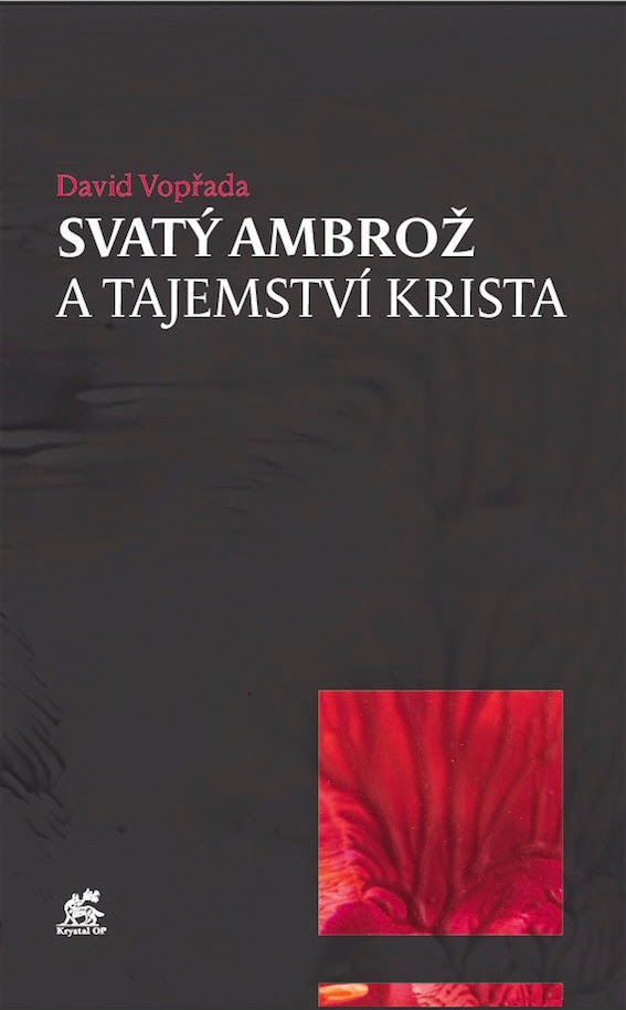 Obrázek
