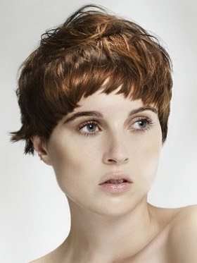 pinterest short haircuts pinterest short haircuts