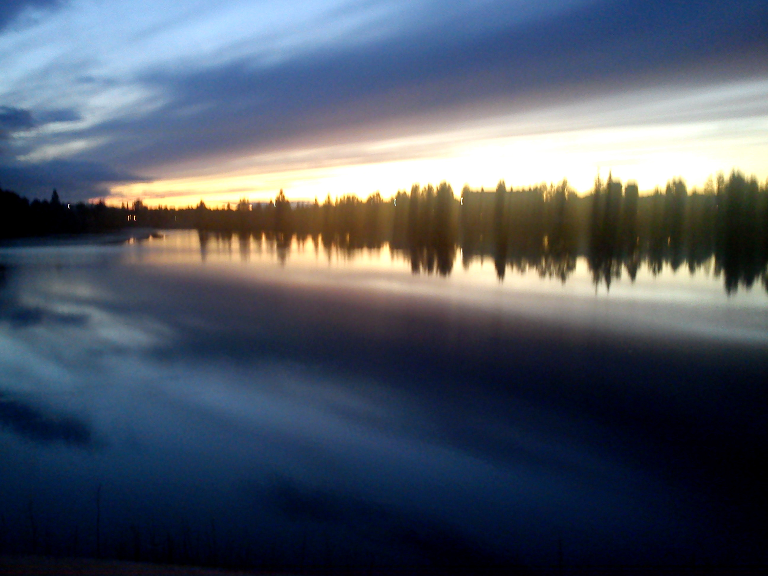 Livlangtanlinda: augusti 2011