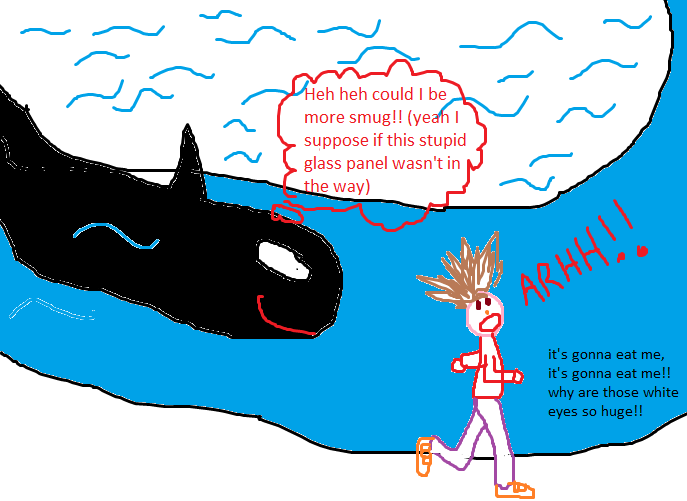 Perhaps I'm a WEIRDO?: Killer whale phobia explained