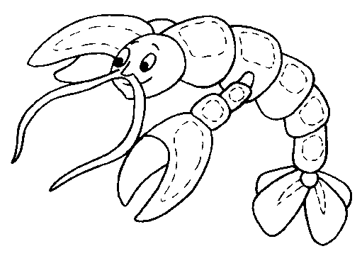 Free Sea Animal Shrimp Coloring Books title=