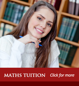 Personal Maths Tuition