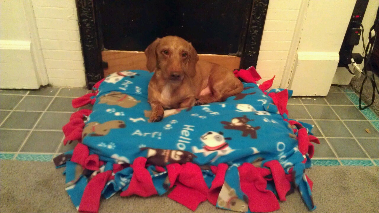 My NoSew Guide to Life NoSewNoStuffing Dog Bed