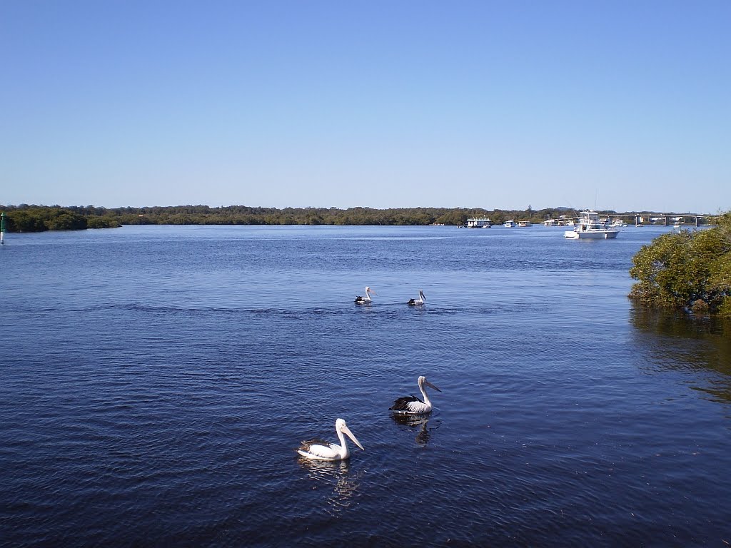 The Pulse Newcastle NSW Day Trips Hawks Nest and Tea Gardens