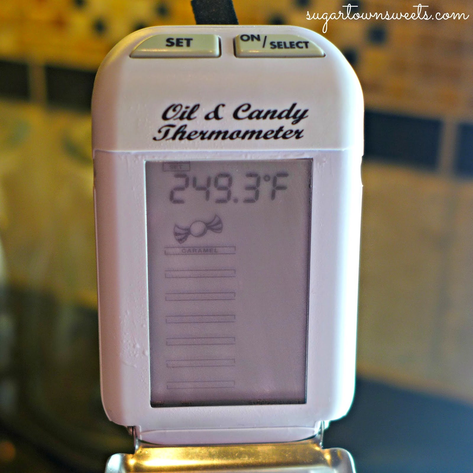 Maverick Digital Oil & Candy Thermometer