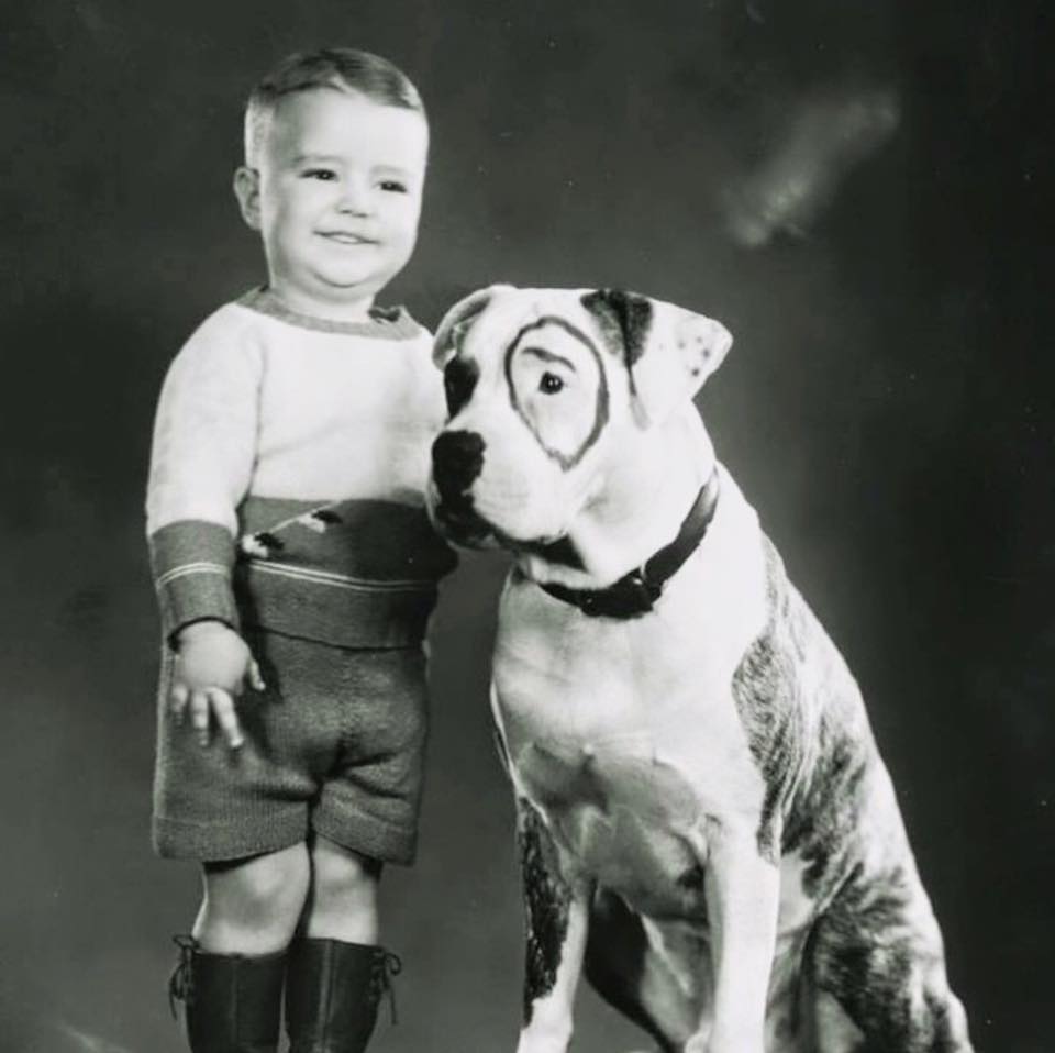 Pete the Pup Alchetron, The Free Social Encyclopedia