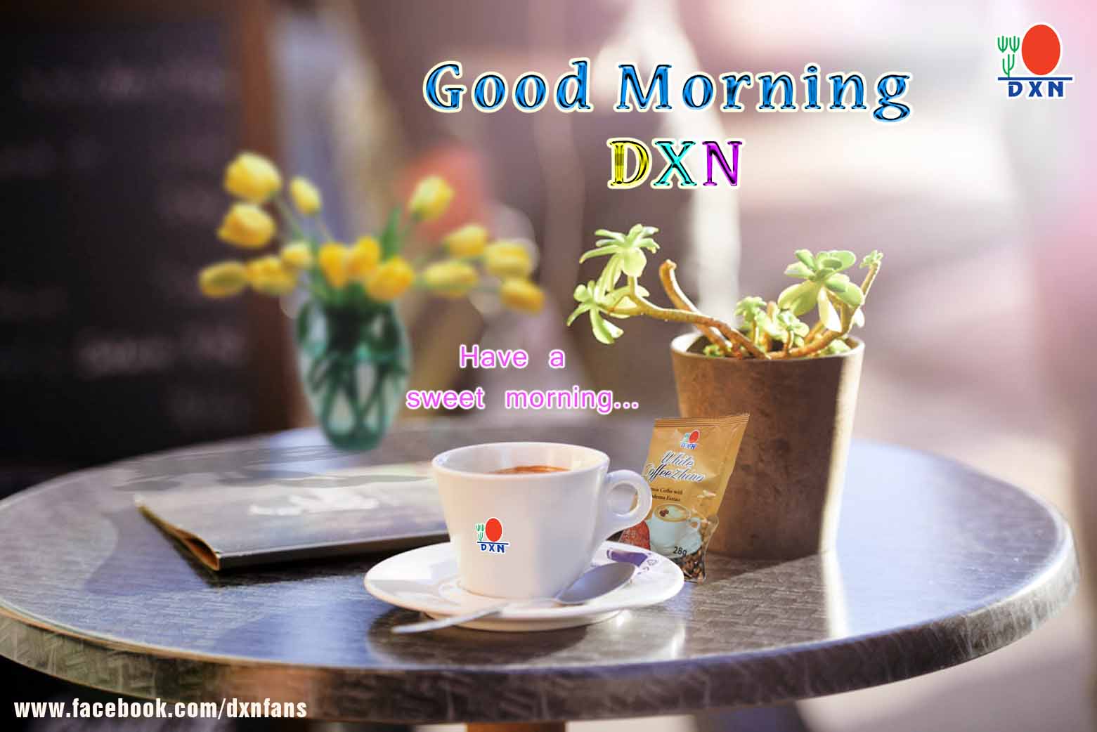 Welcome to the DXN Fans Blog: Good morning DXN...